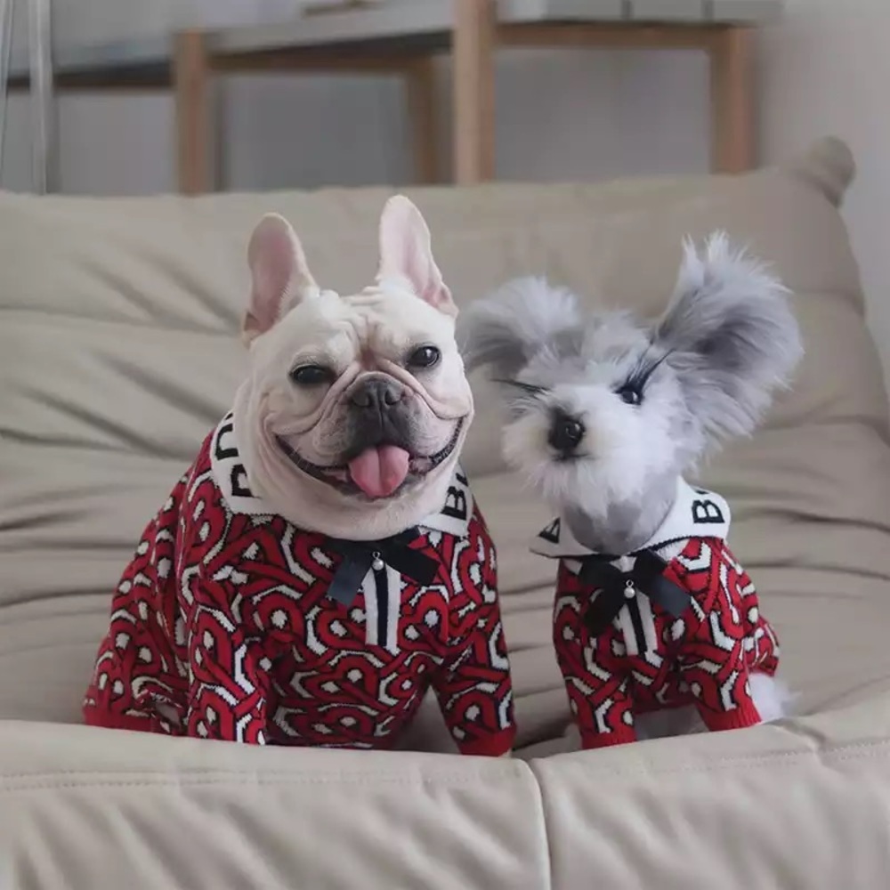 Pet fashion